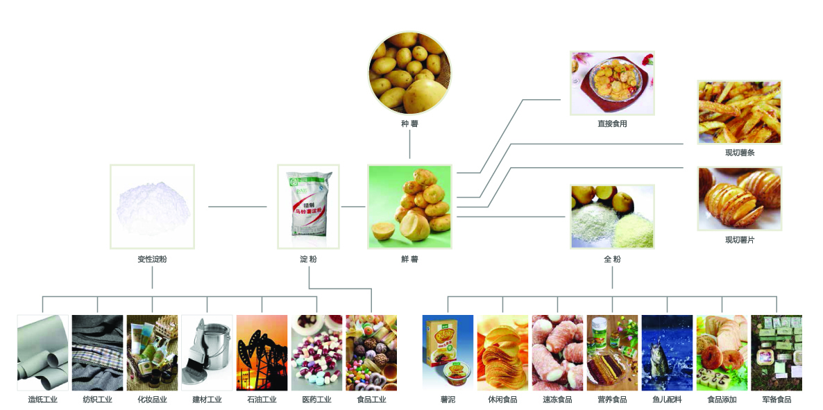 1506393887563716.jpg 多元化.jpg