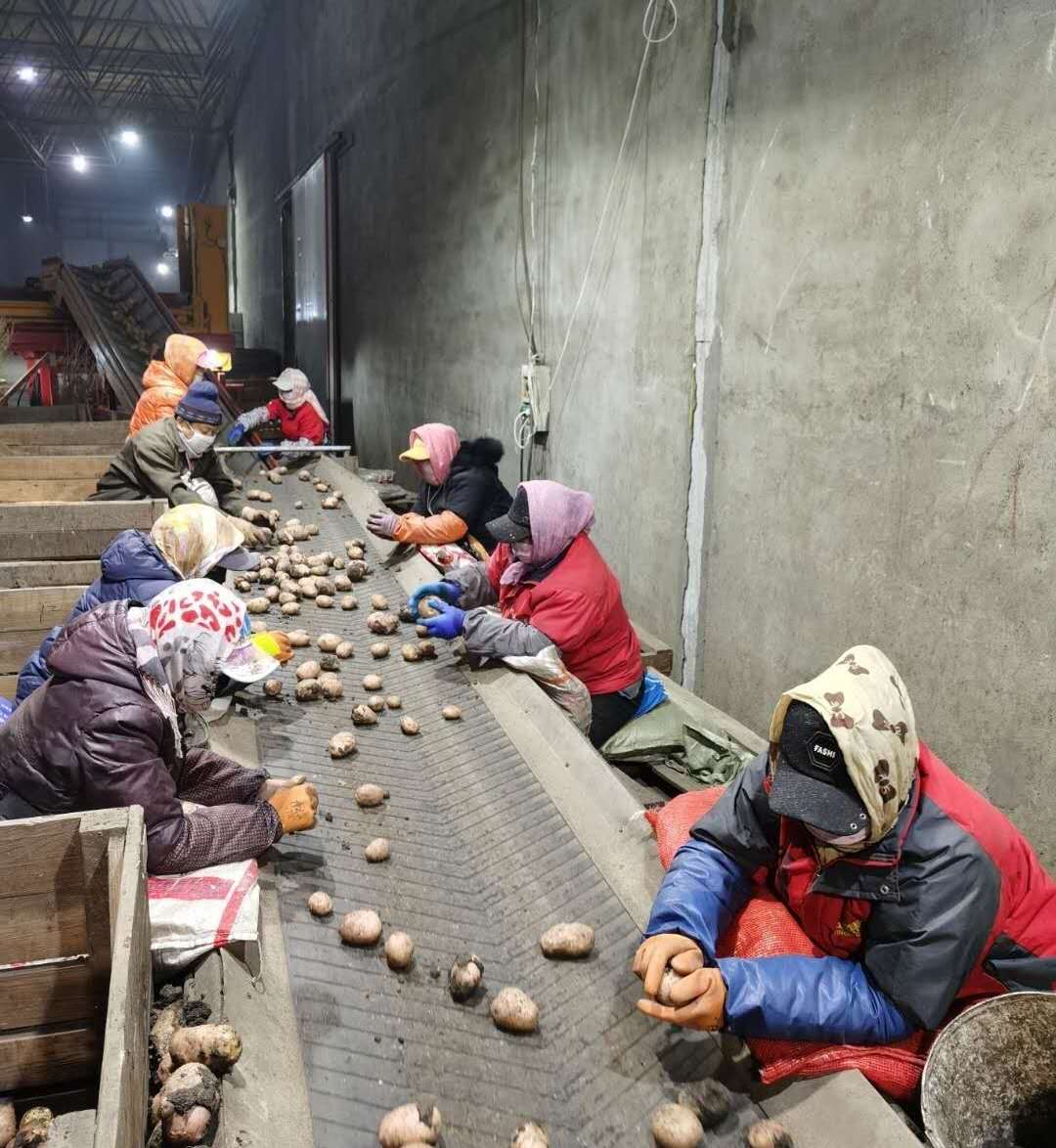 1583559347122270.jpg 可用1.jpg