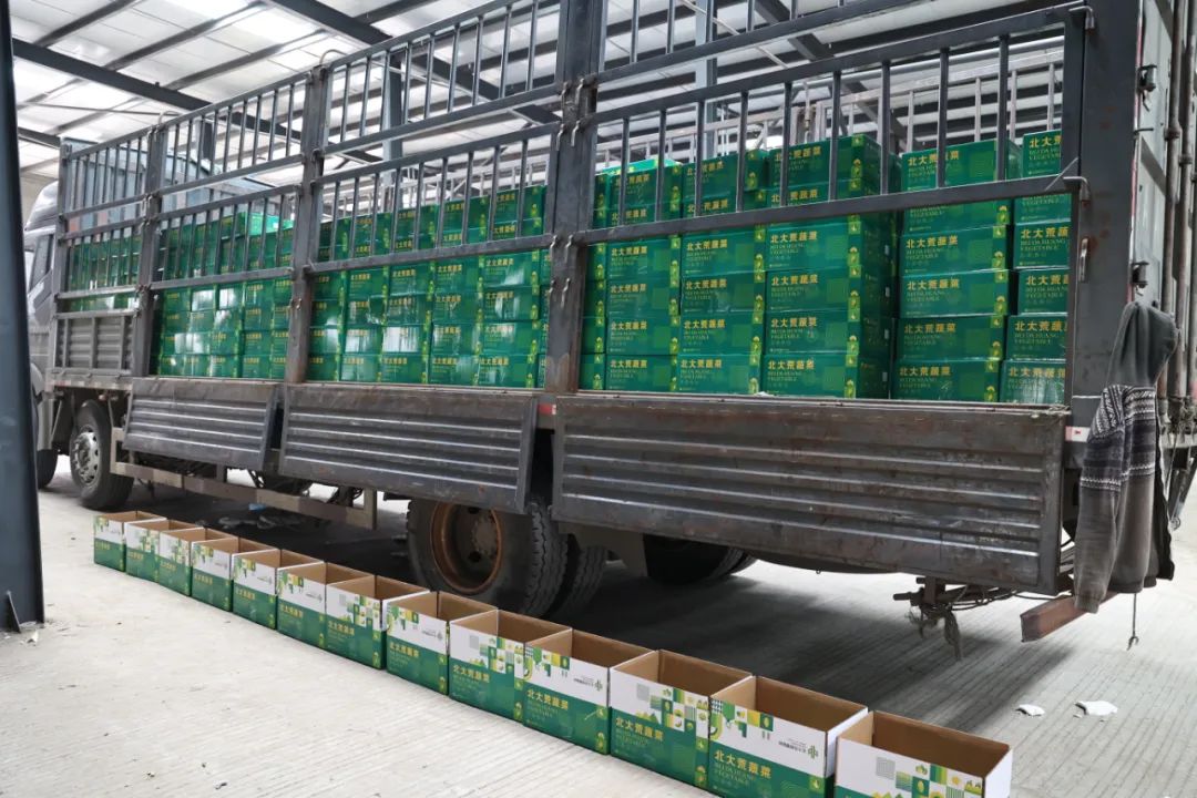 1664173058707013.jpg 777.jpg