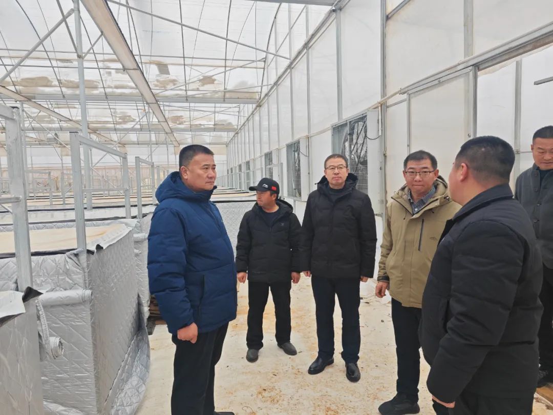 1741518322947137.jpg 640.jpg