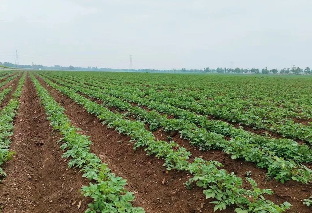 1741521119329802.jpg 640.jpg